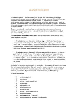 El sistema circulatorio