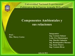 Materia: Toma de decisiones, Tema:Componentes Ambientales y sus relaciones
