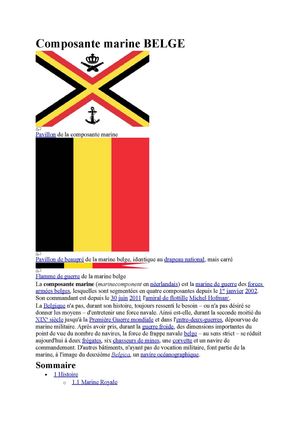 Composante marine BELGE