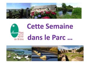 Agenda du 17/12 au 23/12 - Parc naturel régional de Brière