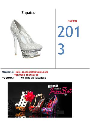 ZAPATOS 2013