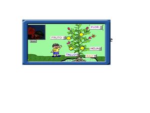 Las Plantas Y Sus Partes 