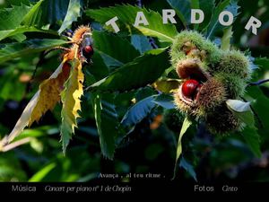 Tardor