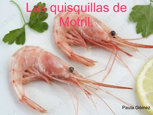 Las Quisquillas de Motril