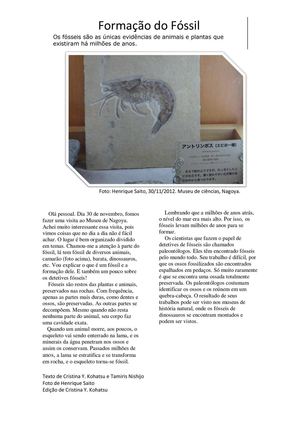 Formação do Fóssil