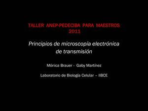 Principios de microscopía electrónica de transmisión - CD Taller 2012