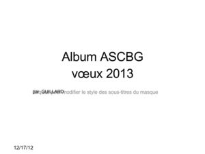 Voeux 2013