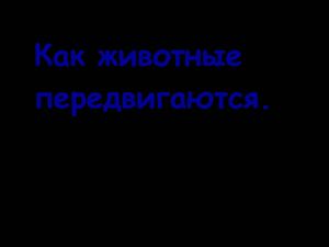 Как животные передвигаются
