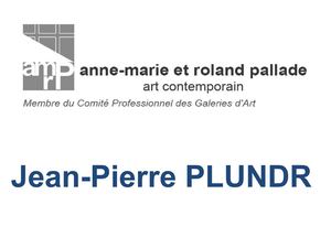 Jean-Pierre PLUNDR, galerie anne-marie et roland pallade du 13 décembre 2012 au 26 janvier 2013