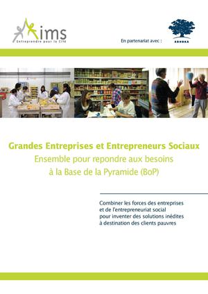 Entreprises et entrepreneurs sociaux : ensemble pour répondre aux besoins à la Base de la Pyramide