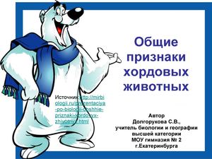 7 класс биология. Тип хордовые