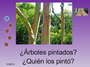 ¿Un árbol pintado? ¿Quién lo pintó?