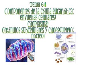 La Membrana Plasmática y la Pared Celular