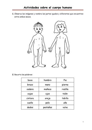 ACTIVIDADES SOBRE EL CUERPO HUMANO