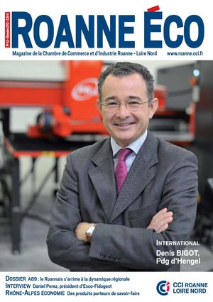 Roanne Eco n°43 - Décembre 2012