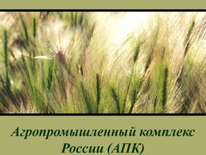 Агропромышленный комплекс России - презентация для урока географии в 9 классе