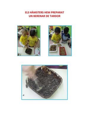 BERENAR DE TARDOR DELS HÀMSTERS