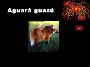 Animales en peligro de extinción