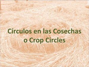 Circulos de Cosechas