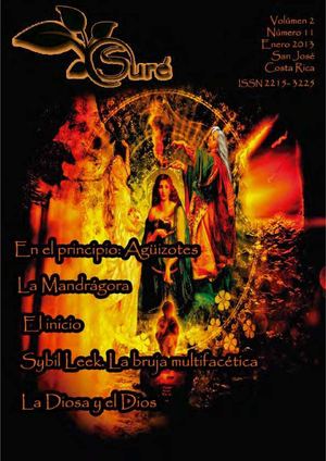 Revista Suré enero