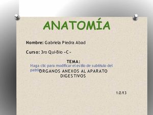 organos anexos al aparato digestivo