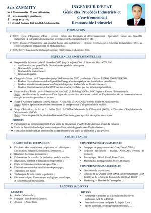 Curriculum Vitae de M. Aziz ZAMMITY