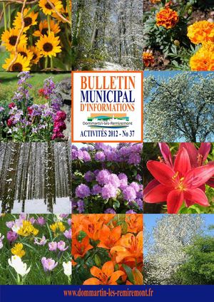 BULLETIN MUNICIPAL 2013 DOMMARTIN-LES-REMIREMONT