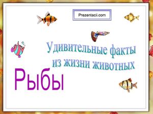 7 класс биология. Интересные факты о рыбах