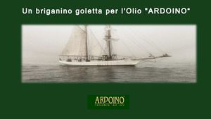 VENDITA PROMOZIONALE OLIO D'OLIVA