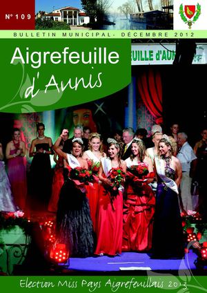 Bulletin municipal 109