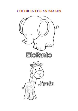 FICHAS ANIMALES SALVAJES