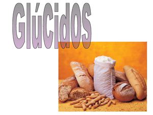 Tema 2 Glucidos