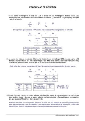28_problemas_resueltos