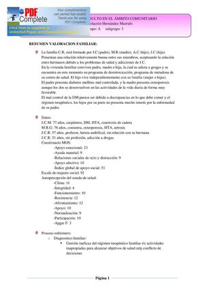 resumen valoracion familiar