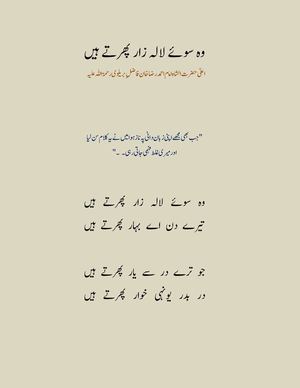 وہ سوئےِ لالہ زار پھرتے ہیں