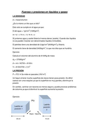 Fuerzas y presiones en líquidos y gases. Laboratorio.