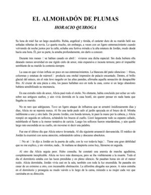 el almohadon de pluma