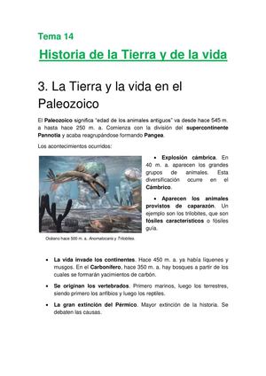 Historia de la vida y de la Tierra