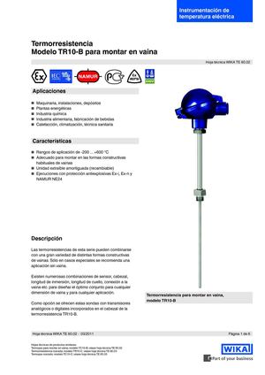 TERMORRESISTENCIA MODELO TR10-B VAINA