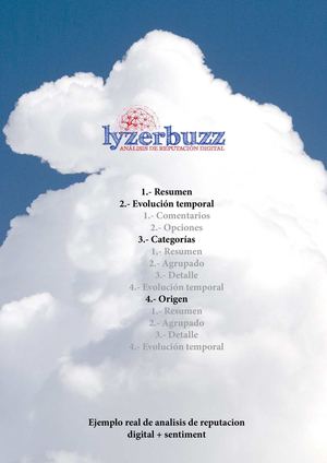 Ejemplo Lyzerbuzz consultoria de analisis de reputacion digital