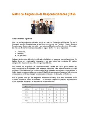 matriz de roles y funciones