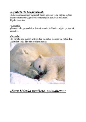 Sexu bidezko ugalketa