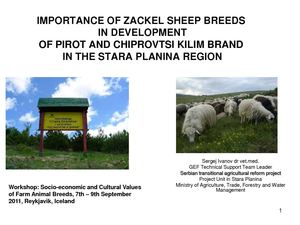 IMPORTANCE OF ZACKEL SHEEP BREEDS IN DEVELOPMENT OF PIROT AND CHIPROVTSI KILIM BRAND IN THE STARA PLANINA REGION