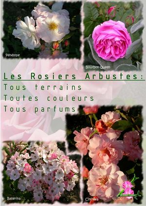 Catalogue BROCHET & LANVIN 1ros