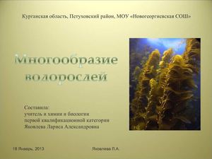 Многообразие водорослей  в водоёмах