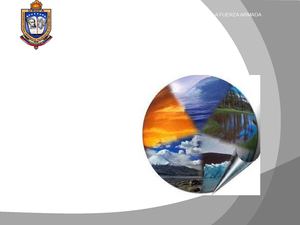 Materia: Toma de decisiones. Tema: Vision holistica del ambiente