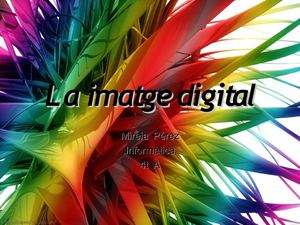 La imatge digital