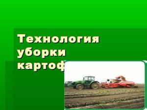 Презентация обучающегося на тему: "Технология уборки картофеля"