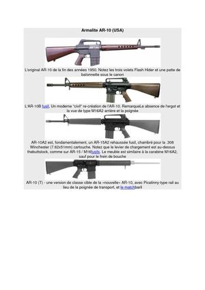 Armalite AR-10 (USA)