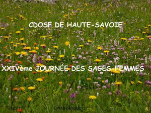 Conseil de l'ordre des sages-femmes de Haute-Savoie, quelques chiffres